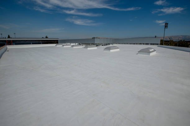 Best Roof Moss and Algae Removal  in Wynne, AR