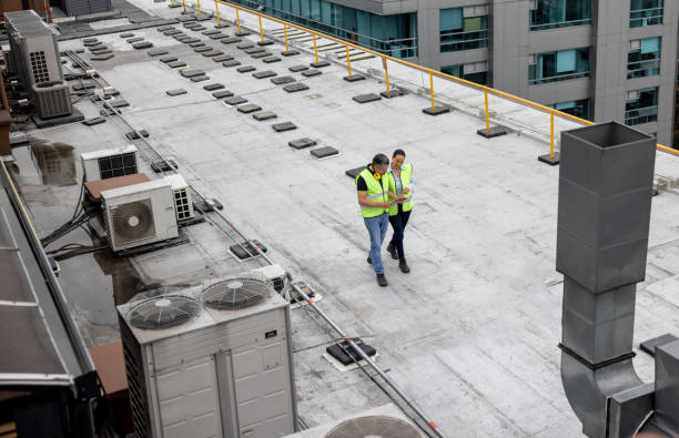Best Roof Maintenance and Cleaning  in Wynne, AR