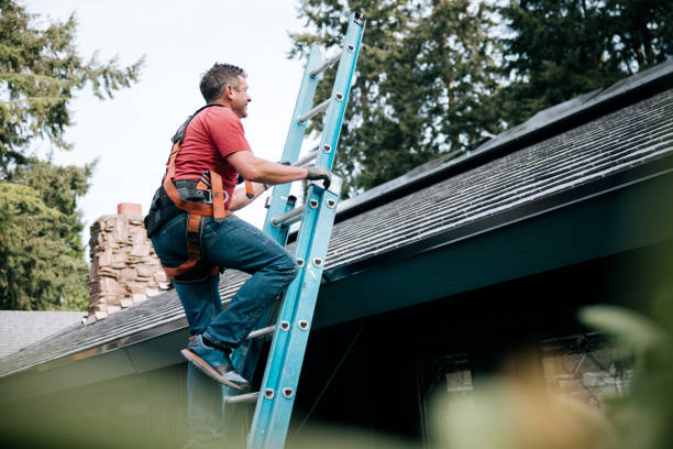 Best Wood Shake Roofing  in Wynne, AR